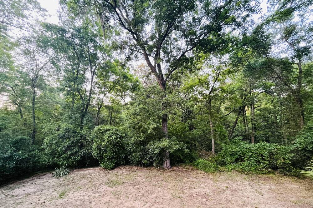 Photo of Outdoor in Waresboro
