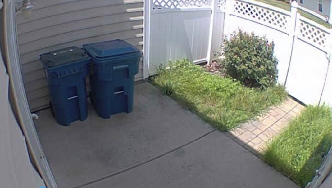 Photo of Outdoor in Belmont