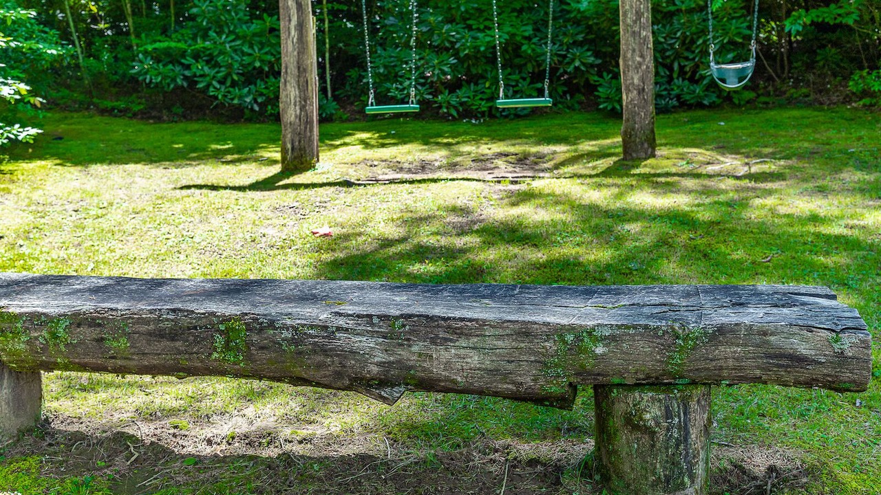Photo of Outdoor in Lake Toxaway