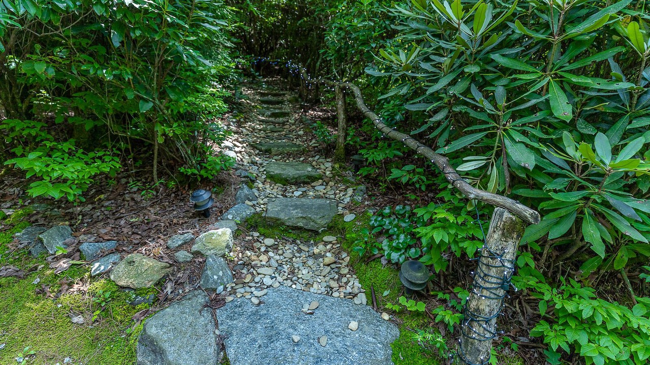 Photo of Outdoor in Lake Toxaway