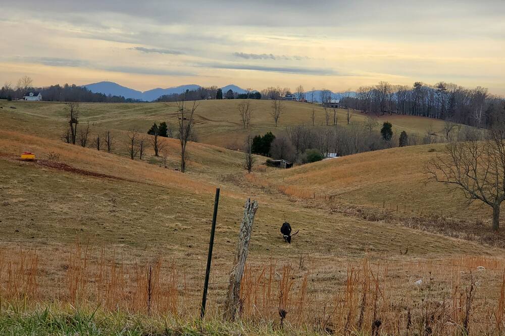 Photo of Outdoor in Alexander