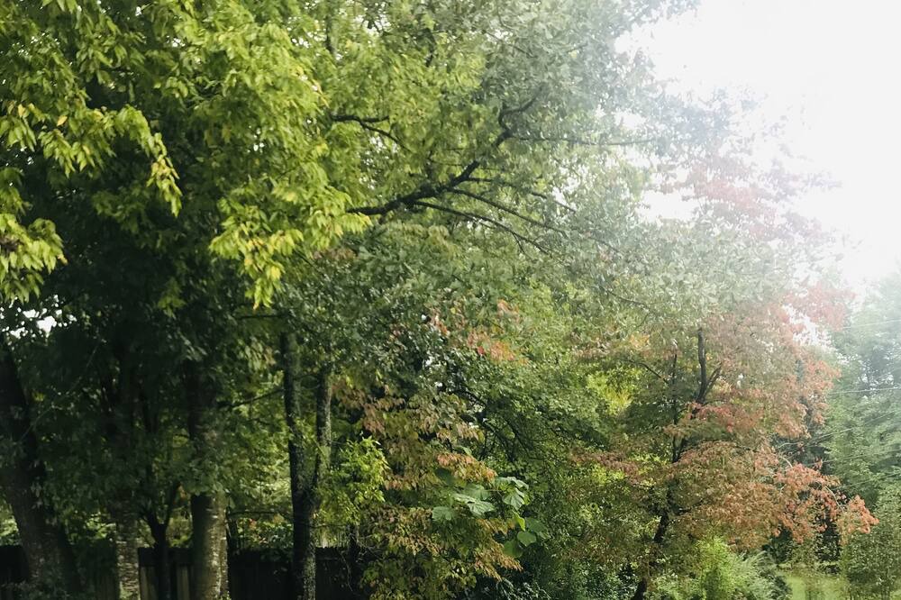 Photo of Outdoor in Cullman