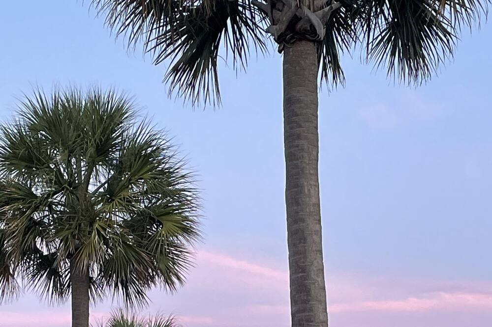 Photo of Others in Summerville