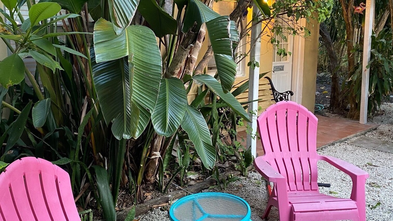Photo of Outdoor in Miami Shores