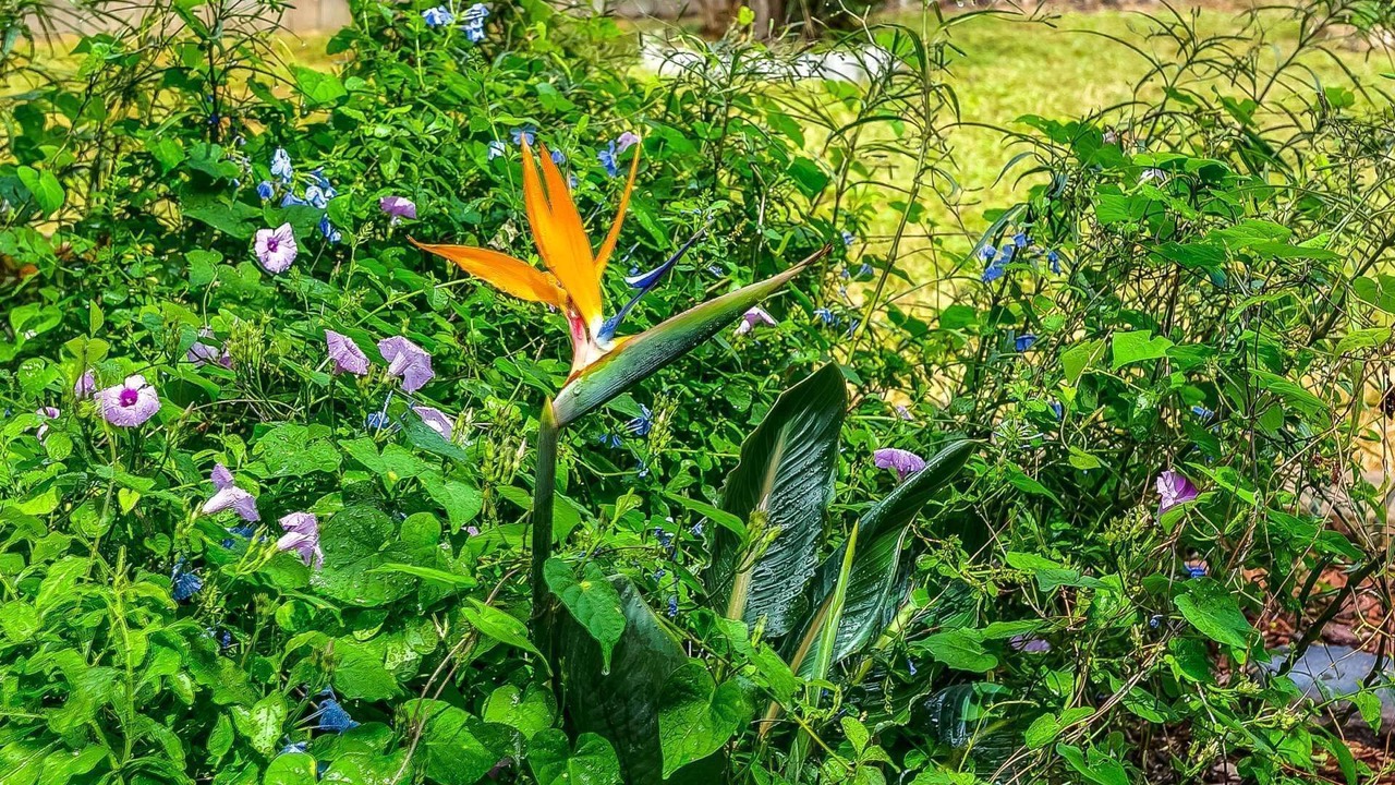 Photo of Outdoor in Grande Lagoon Lakes