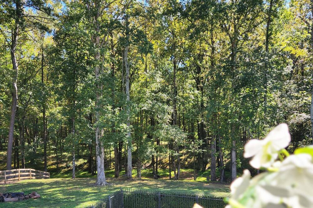 Photo of Outdoor in Fayetteville