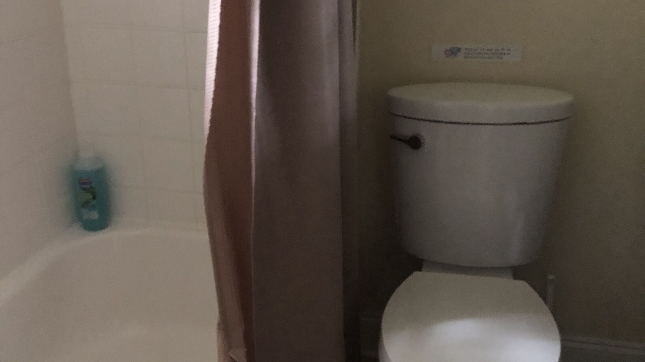 Photo of Others in Shellman Bluff