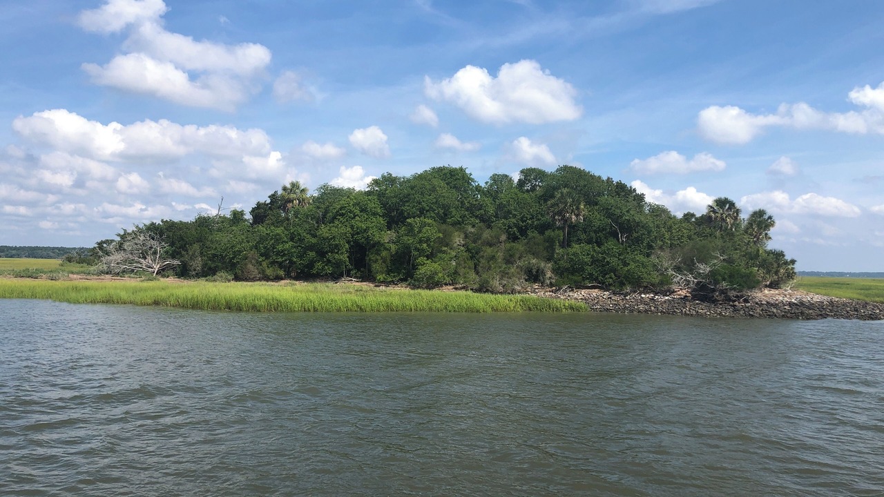 Photo of Others in Shellman Bluff