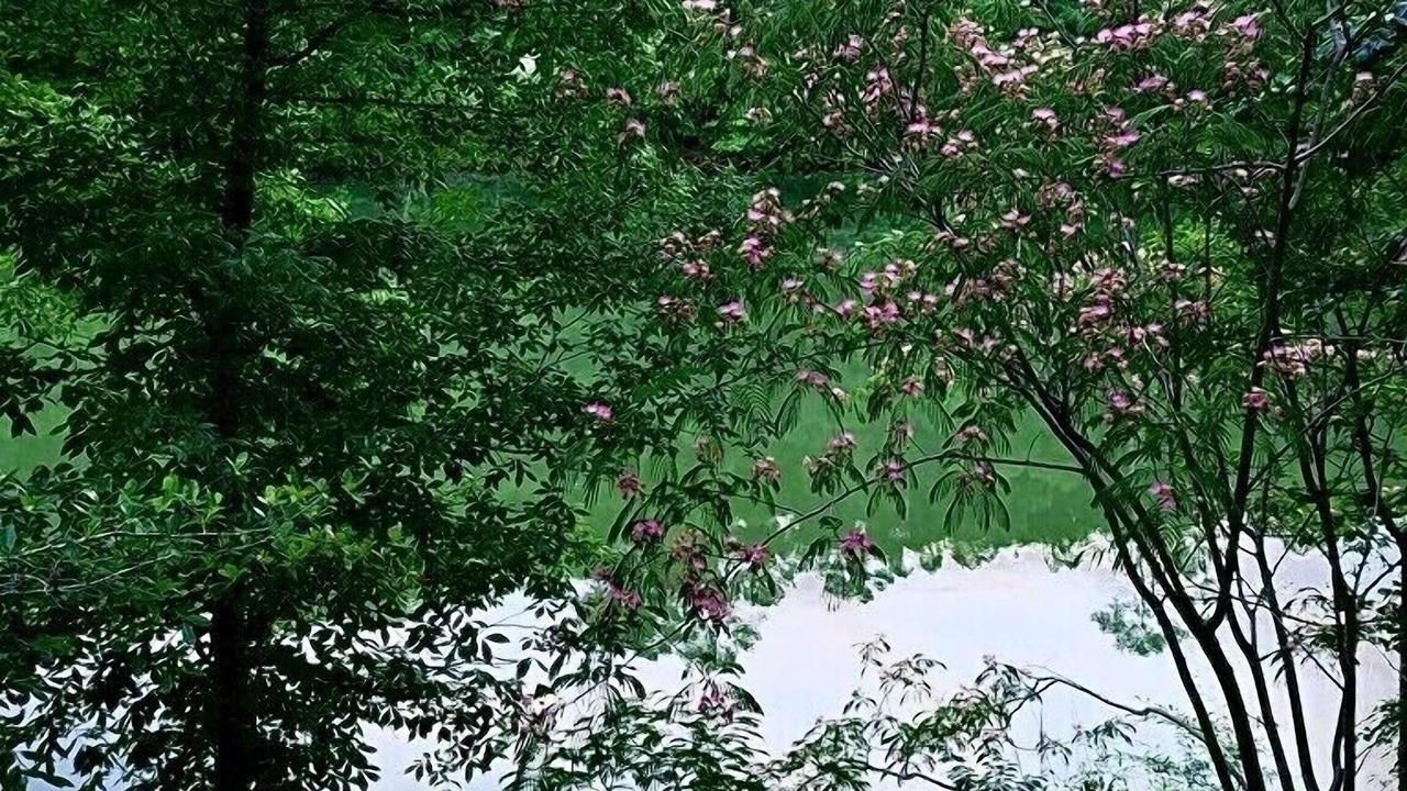 Photo of Outdoor in Double Springs