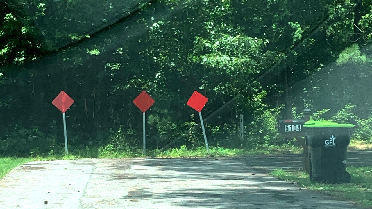 Photo of Outdoor in Forest Park