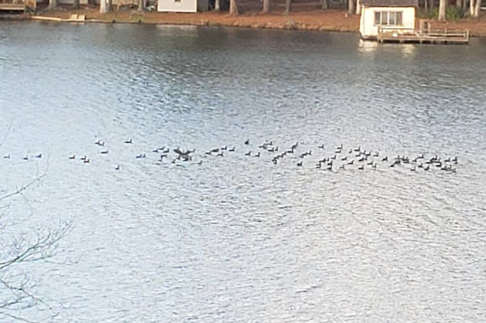 Photo of Outdoor in East Dublin