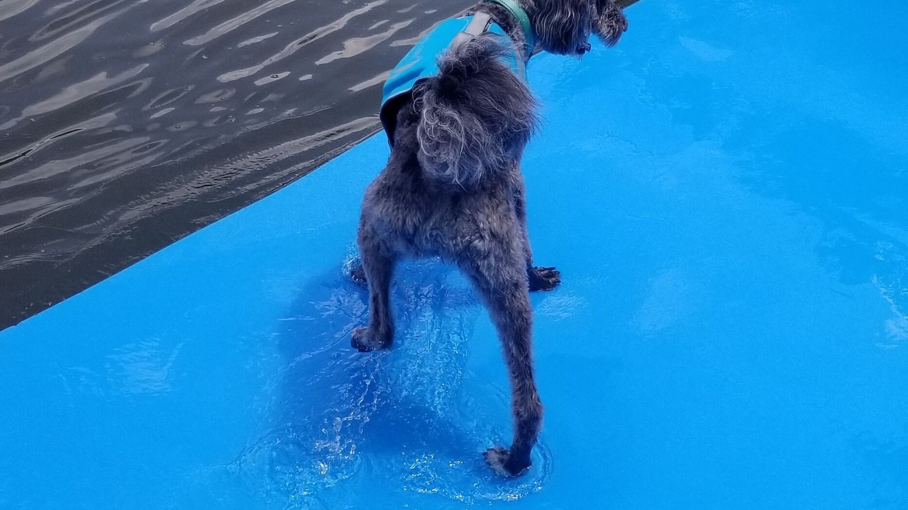 Photo of Others in Double Springs