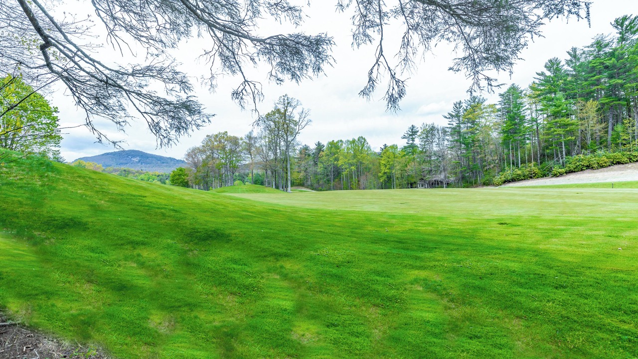 Photo of Others in Lake Toxaway