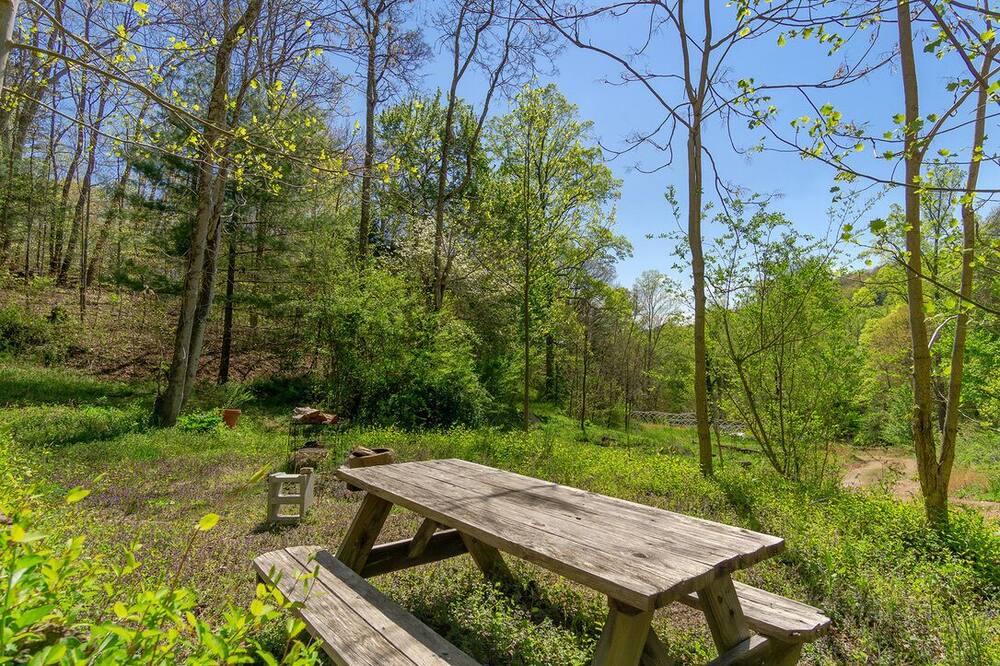 Photo of Outdoor in Asheville