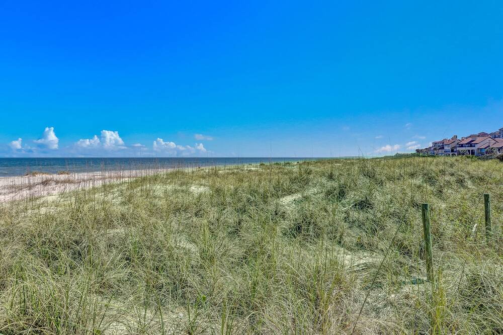 Photo of Others in Fernandina Beach