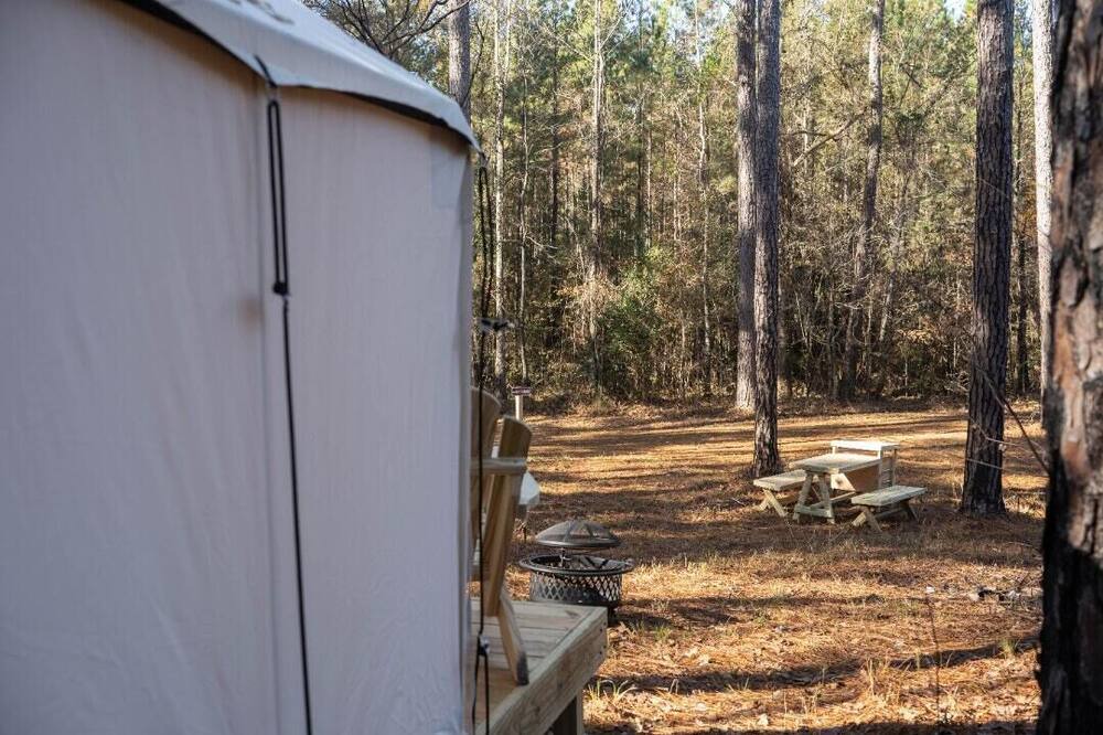 Photo of Others in Quitman
