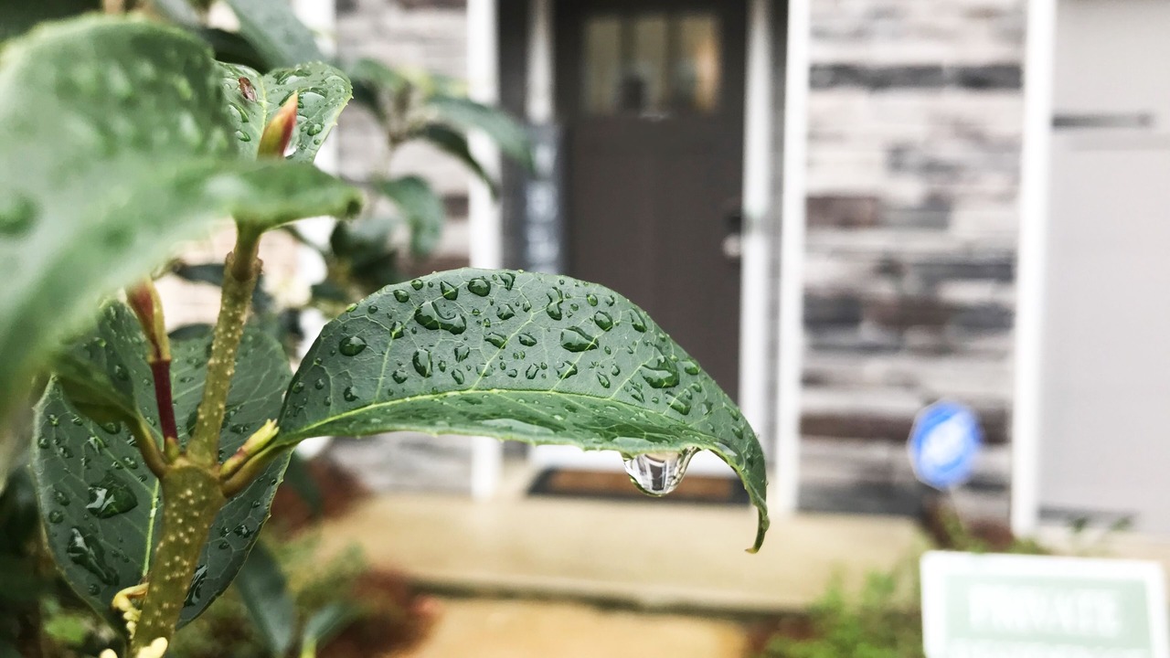 Photo of Outdoor in Atlanta