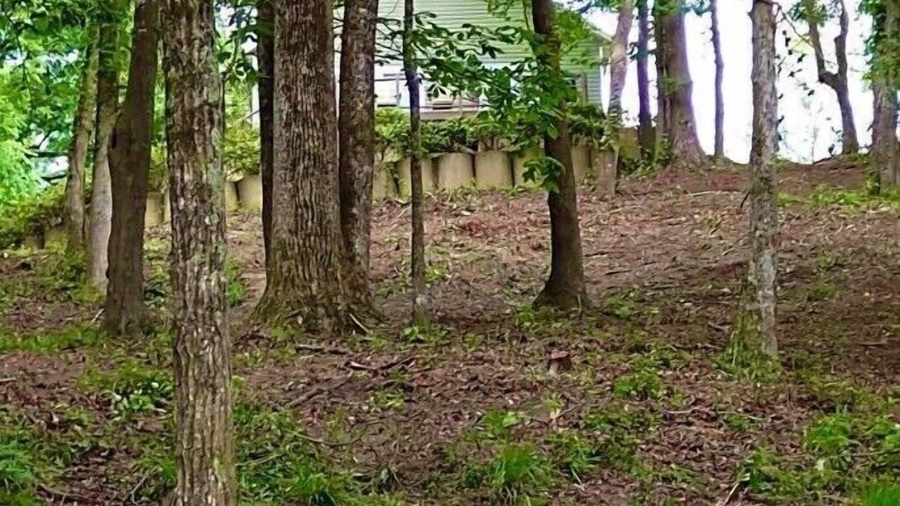 Photo of Outdoor in Georgetown