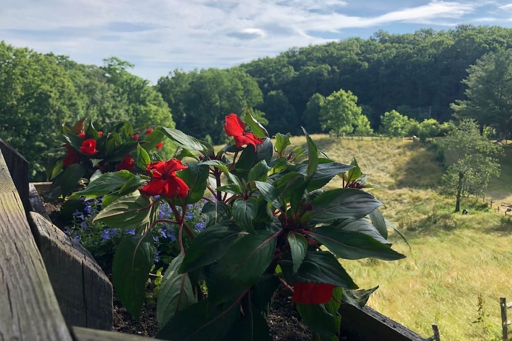 Photo of Outdoor in Lake Toxaway