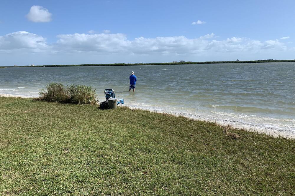 Photo of Others in Volusia County