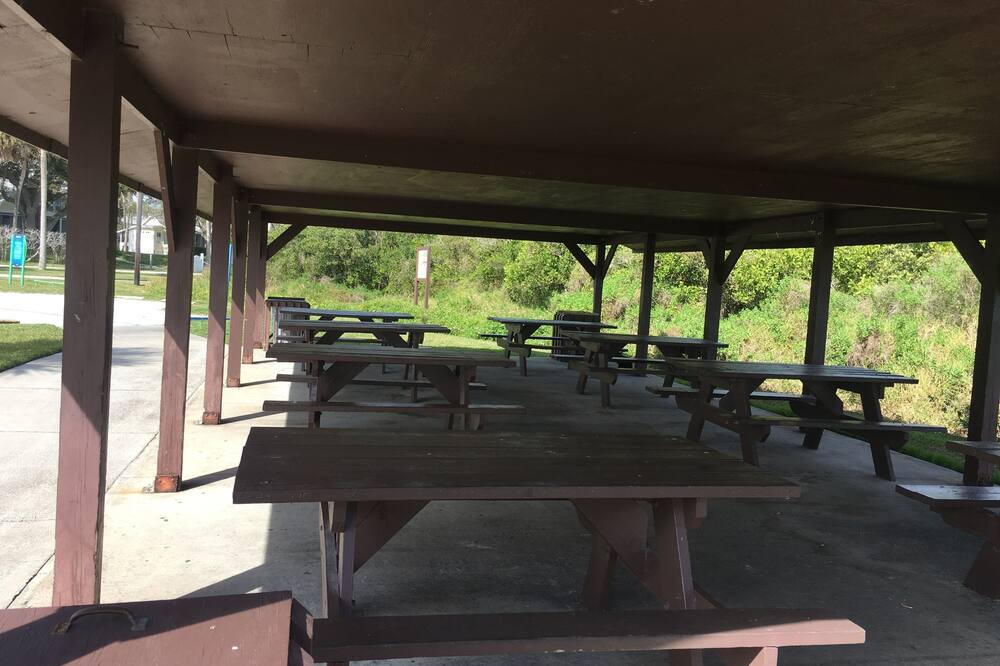 Photo of Others in Volusia County