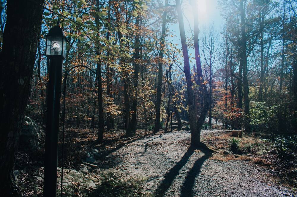 Photo of Others in Mentone