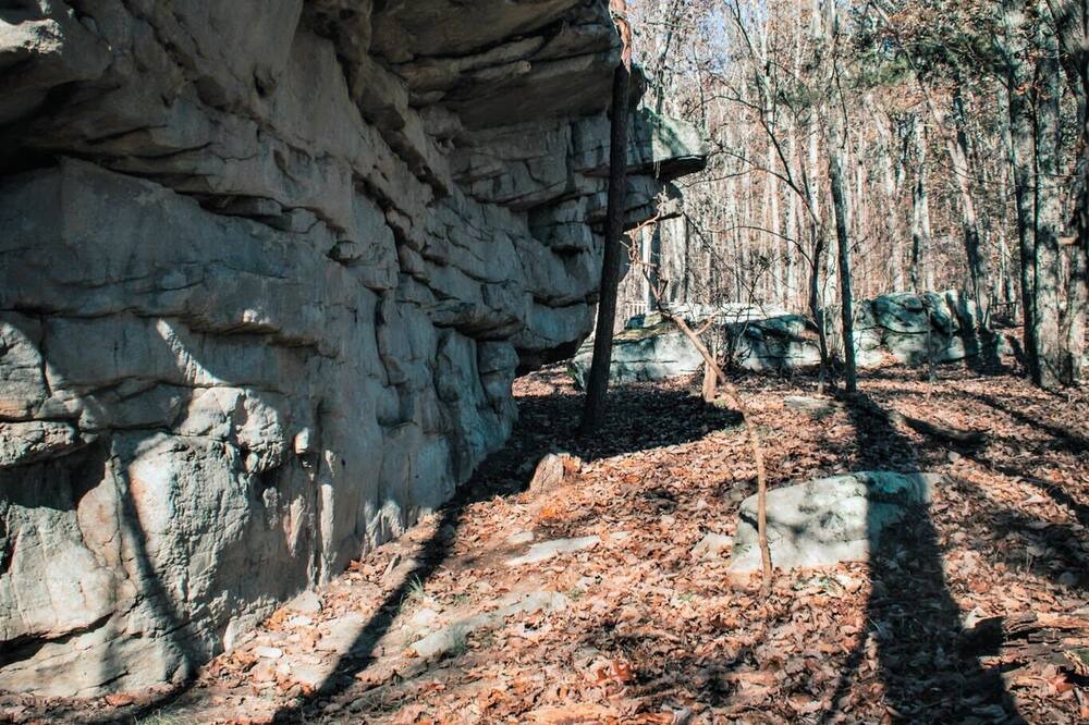 Photo of Others in Mentone