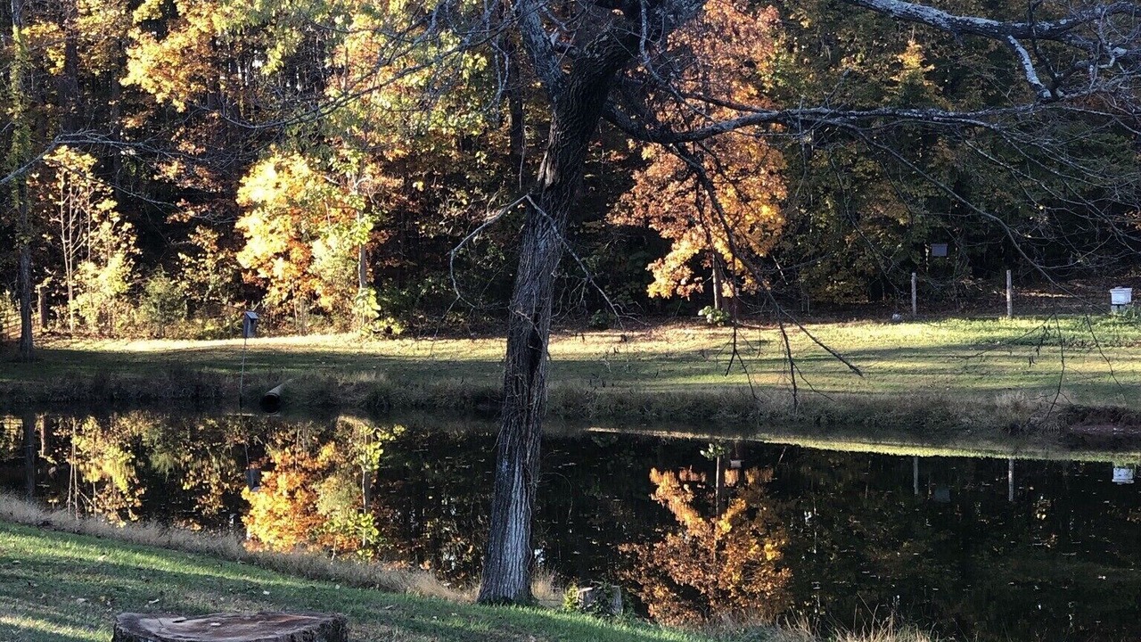 Photo of Outdoor in Davis Lake - Eastfield