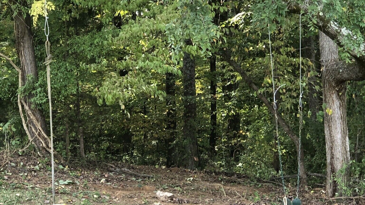 Photo of Outdoor in Davis Lake - Eastfield