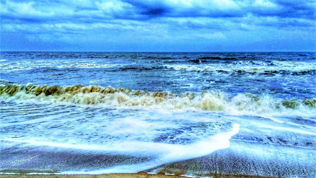 Photo of Others in Fernandina Beach