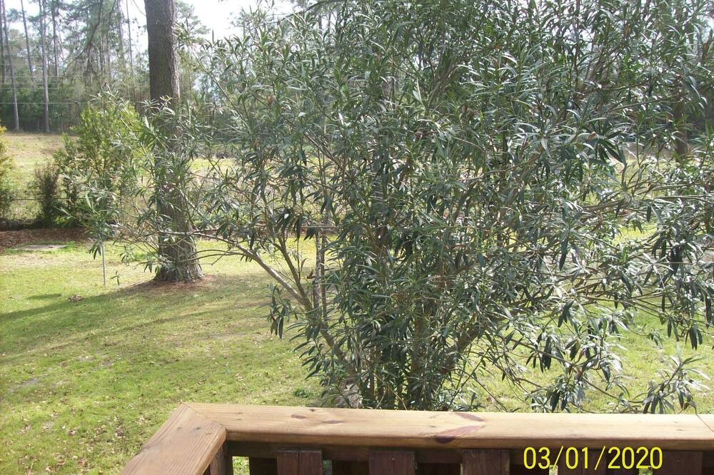 Photo of Patio Balcony in Augusta