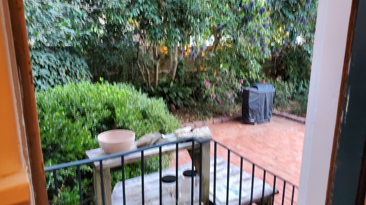 Photo of Outdoor in Forest Hills