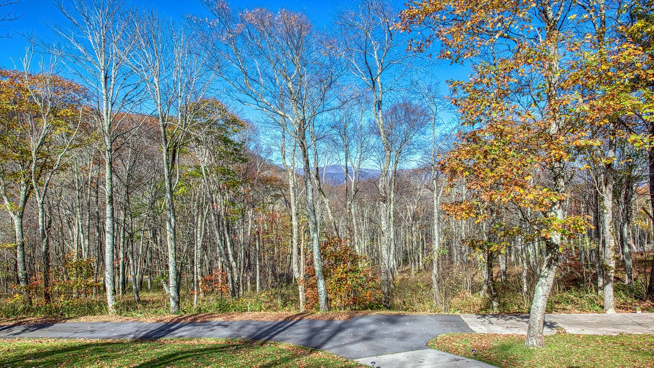 Photo of Outdoor in Maggie Valley