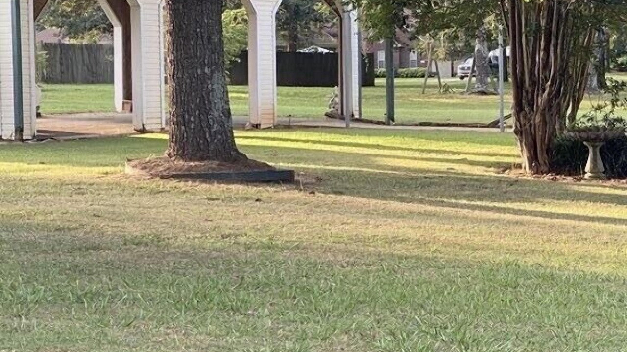Photo of Others in Hillsboro