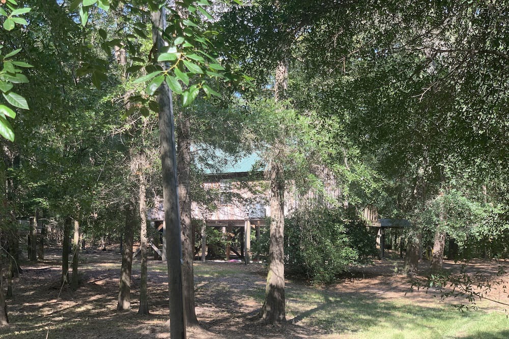 Photo of Others in Lucedale