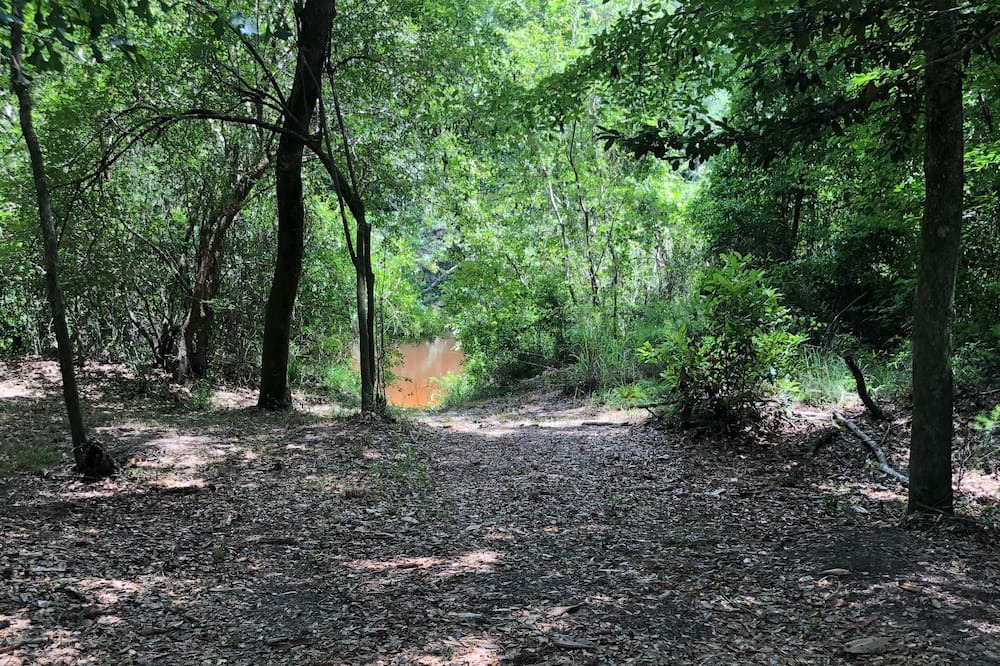 Photo of Others in Lucedale
