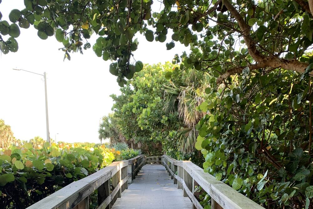 Photo of Outdoor in Indialantic