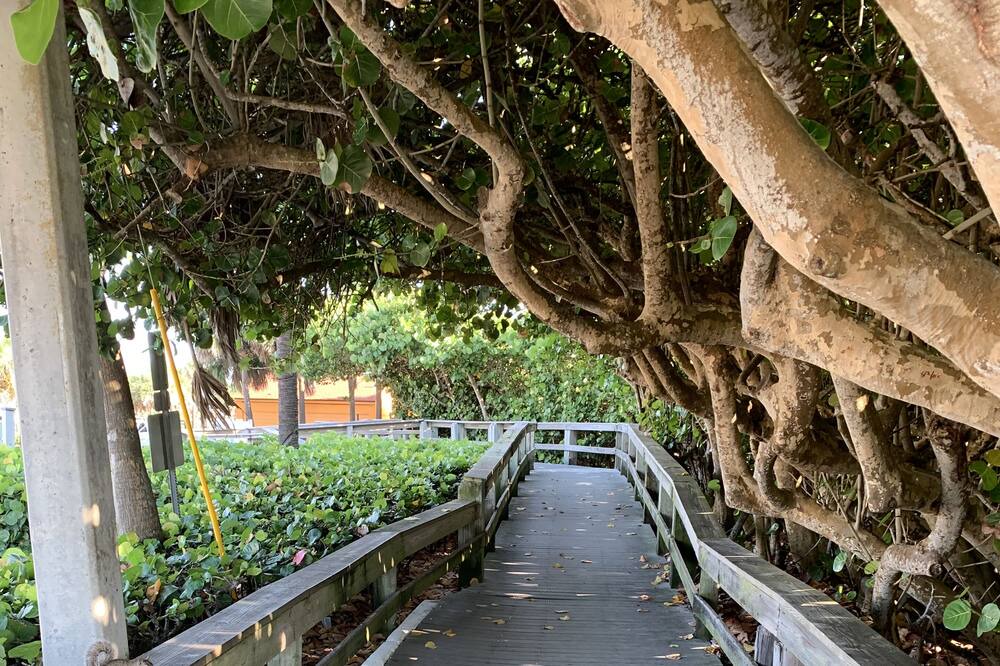 Photo of Outdoor in Indialantic