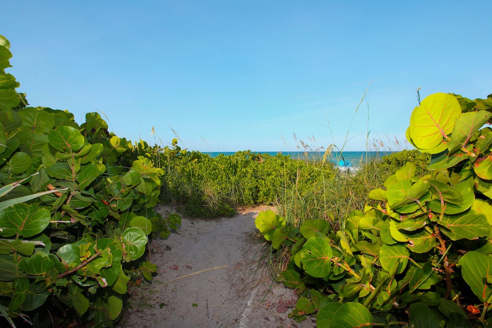 Photo of Outdoor in Indialantic