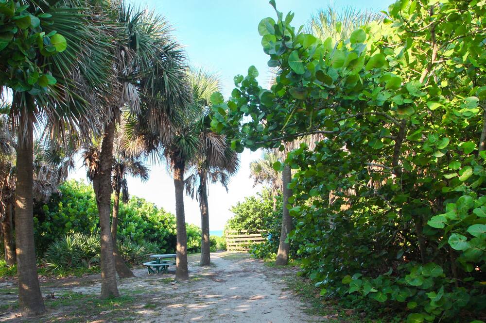 Photo of Outdoor in Indialantic