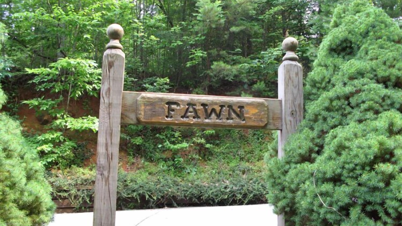 Photo of Others in Gatlinburg - Pigeon Forge