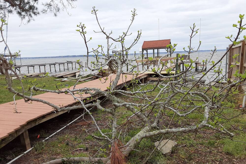 Photo of Outdoor in Oak Court