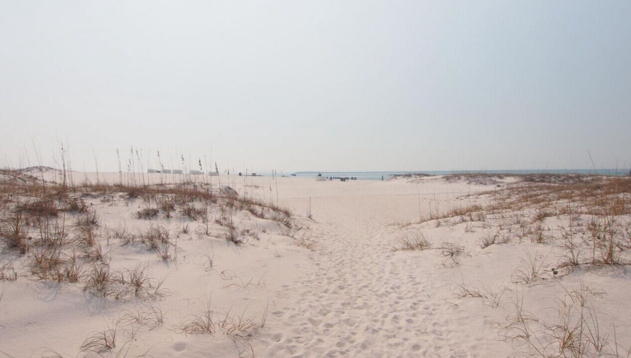 Photo of Others in Holiday Isle
