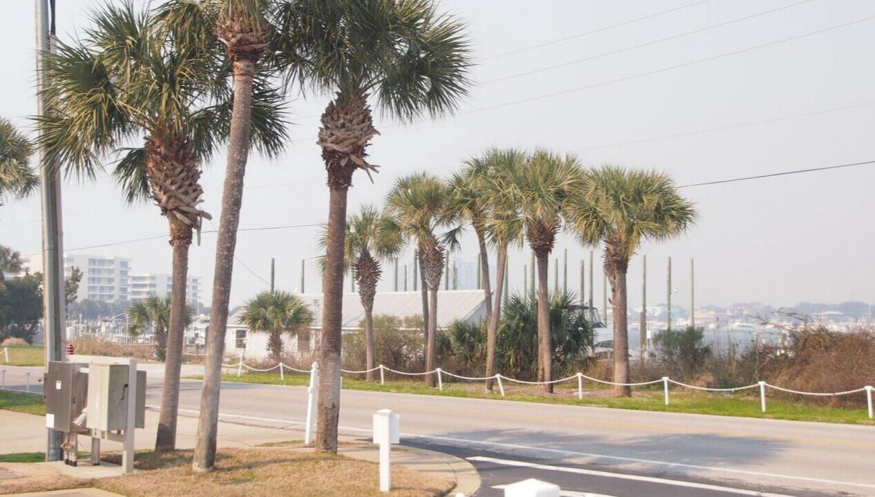Photo of Outdoor in Holiday Isle