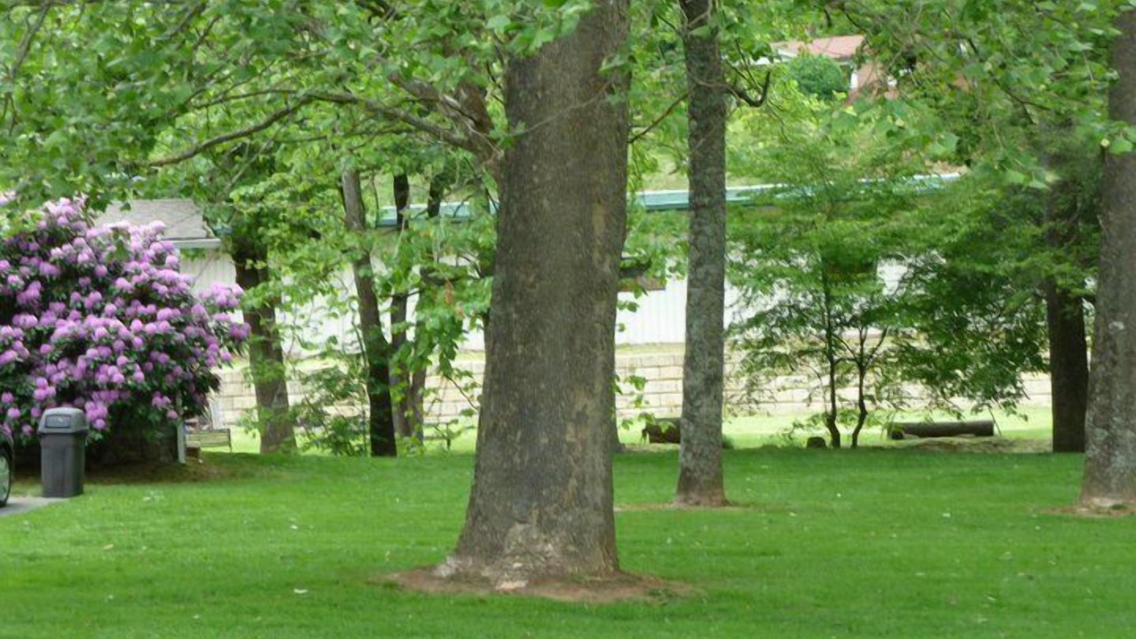 Photo of Outdoor in Maggie Valley