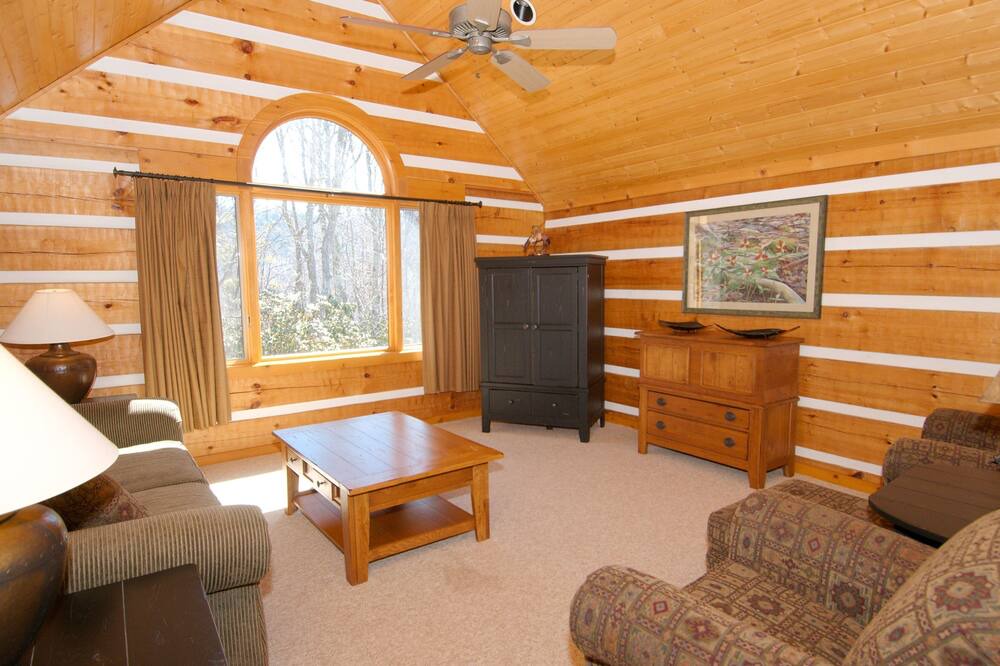 Photo of Livingroom in Waynesville