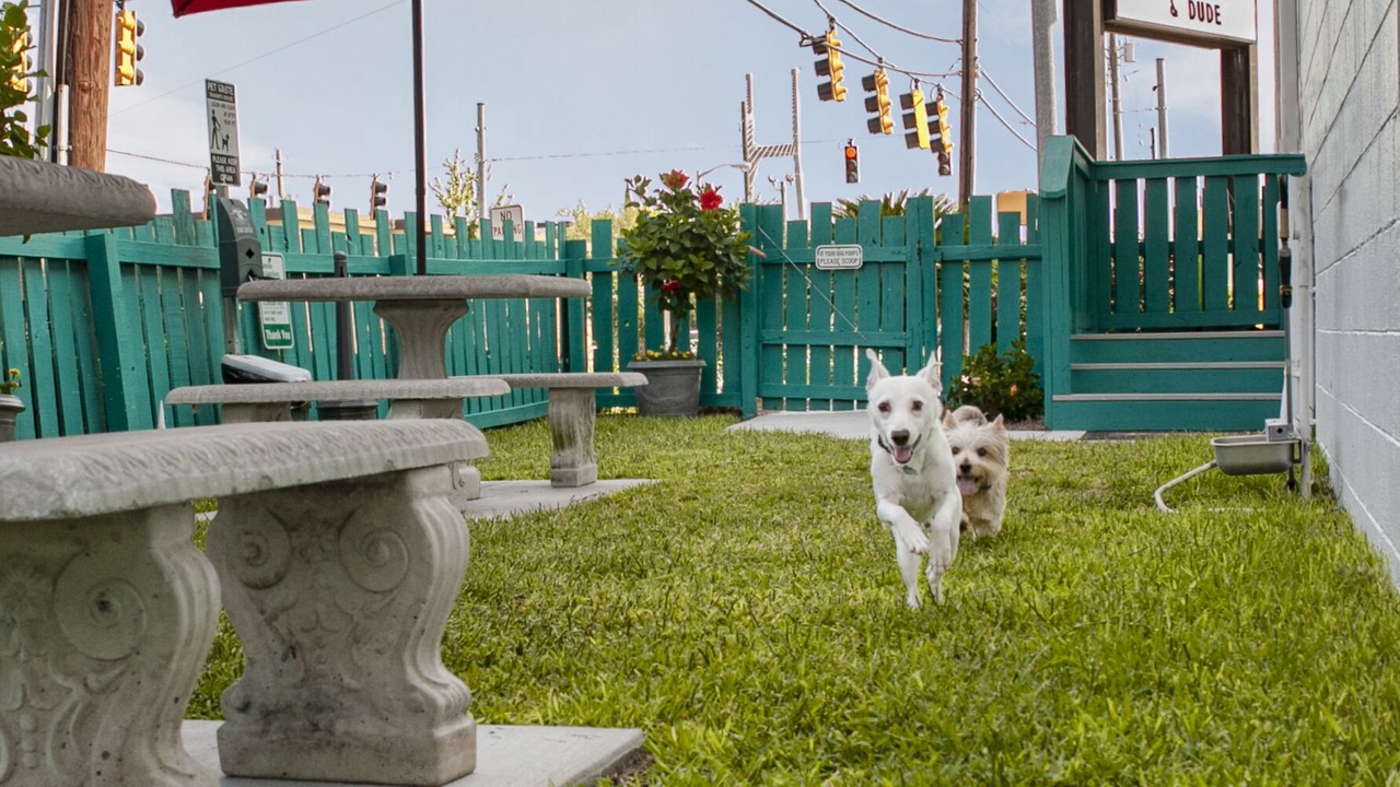 Photo of Others in Yamacraw Village