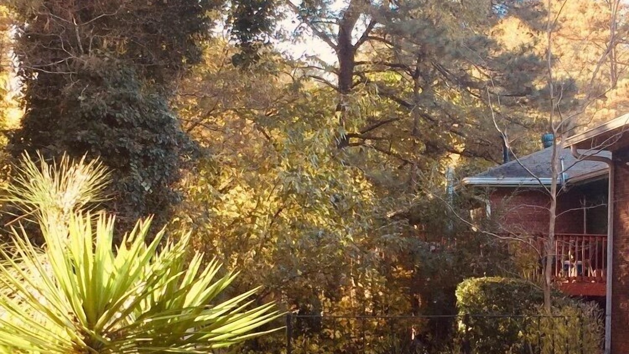 Photo of Outdoor in Church Street