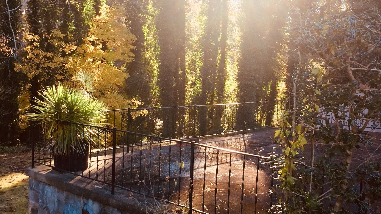 Photo of Outdoor in Church Street