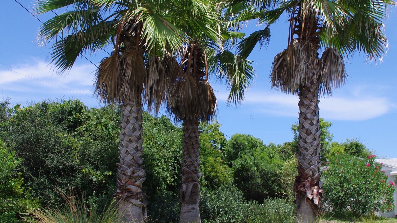 Photo of Outdoor in Crescent Beach